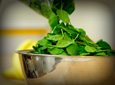 New, healthy meal ideas