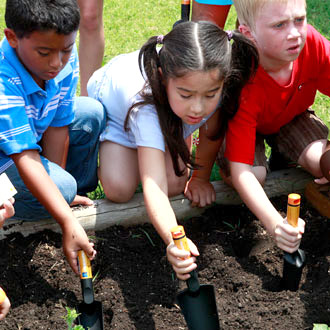 Children learning how to garden